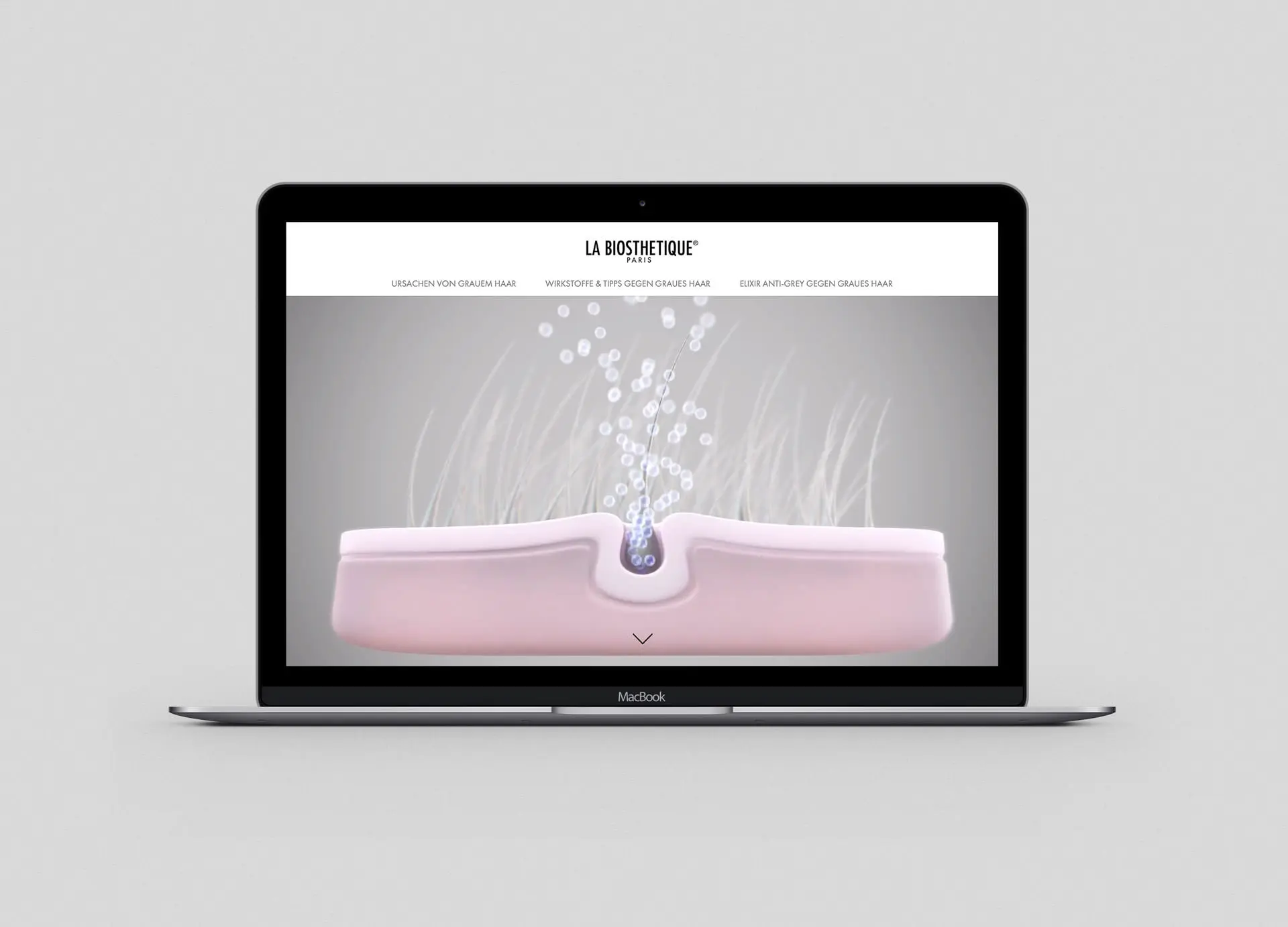 notthoff design Produkt Website Anti Grey La Biosthetique 1