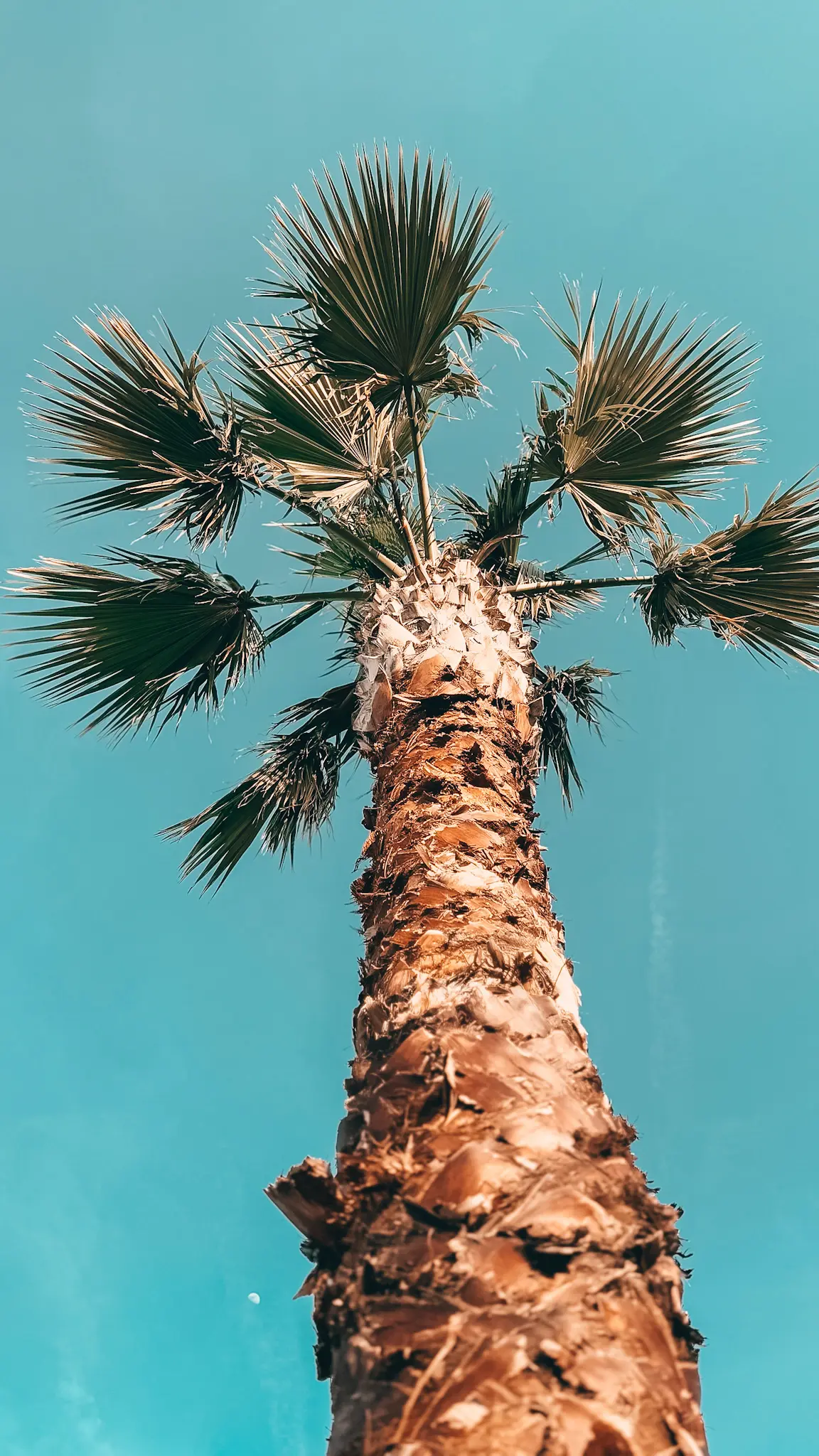 10 Jahre Agentur notthoff Rhodos 7