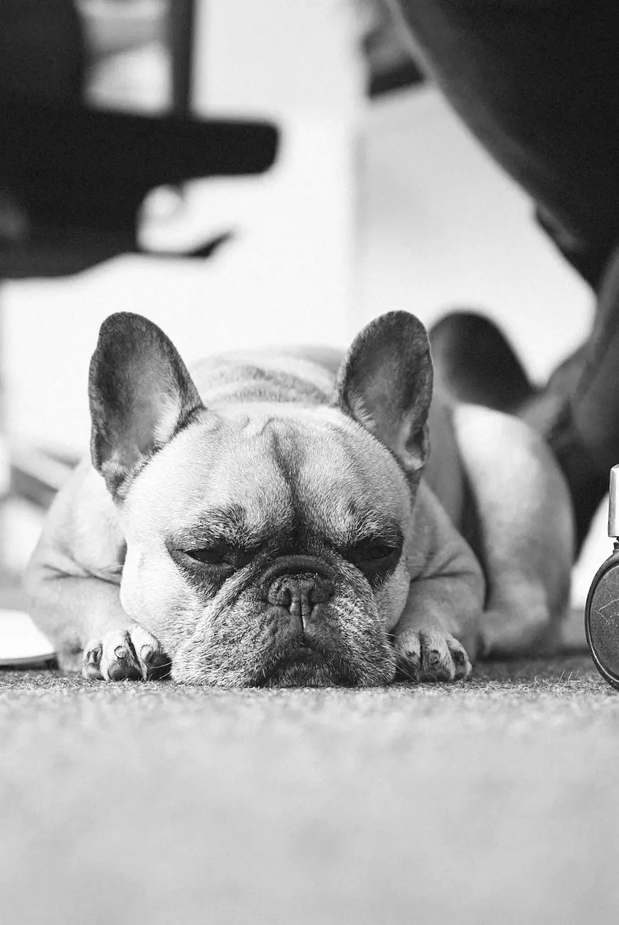 Designagentur notthoff Münster